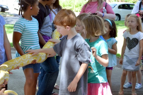 Children pet a snake during a Summer Camp field trip