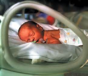 A baby born premature sleeps in an incubator.
